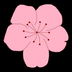WWW,61005·COM网站APP